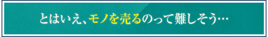 とはいえ、モノを売るのって難しそう…