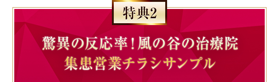 特典2 驚異の反応率！風の谷の治療院集患営業チラシサンプル