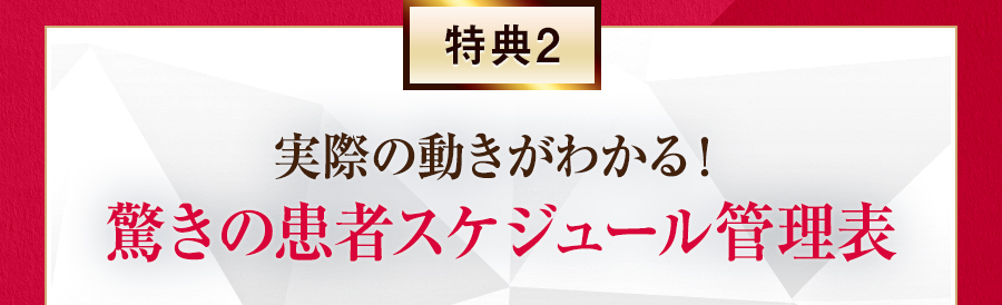 特典2 実際の動きがわかる！驚きの患者スケジュール管理表