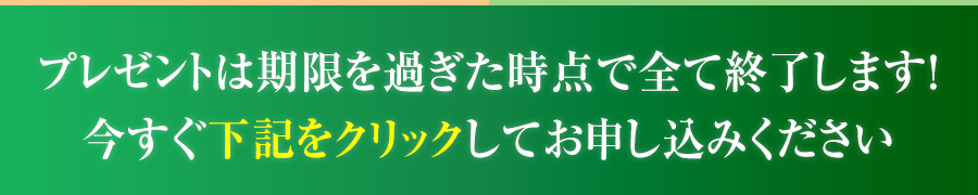 プレゼントは期限を過ぎた時点で全て終了します！今すぐ下記をクリックしてお申し込みください