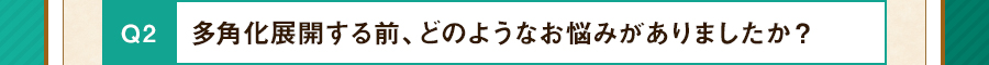 多角化展開する前、どのようなお悩みがありましたか？