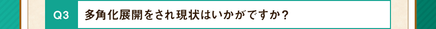 多角化展開をされ現状はいかがですか？