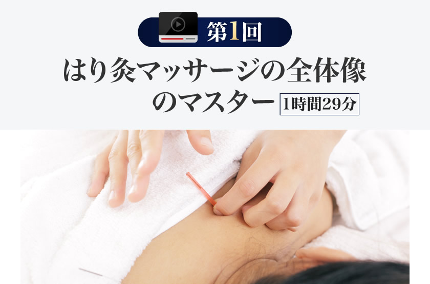 はり灸マッサージの全体像のマスター
